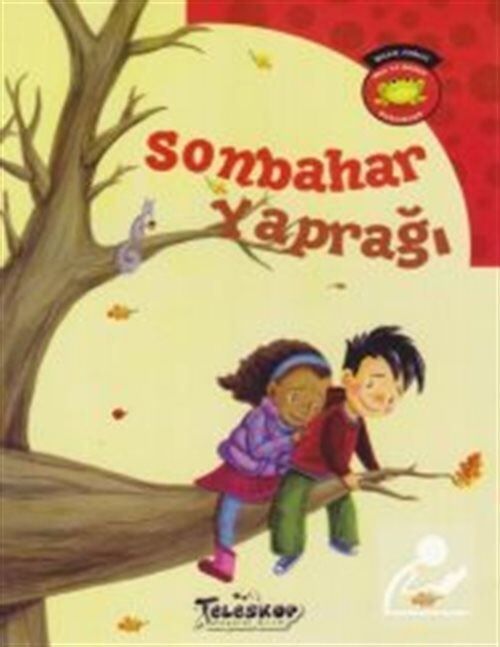 Teleskop Oku Ve Öğren   Mevsimler  Soğuk Bir Kış Günü