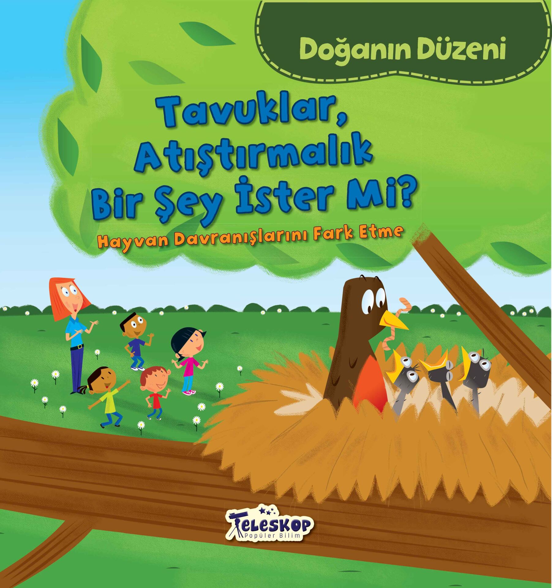 Teleskop Doğanın Düzeni Tavuklar Atıştırmalık Bir Şey İster Mi