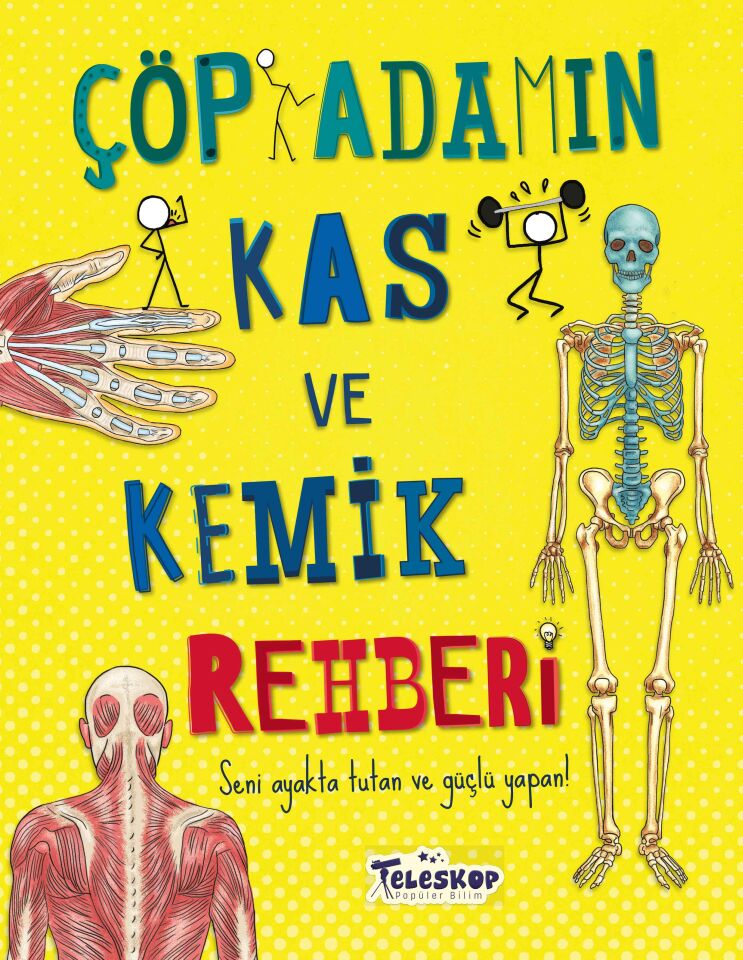 Teleskop Çöp Adamın Kas Ve Kemik Rehberi