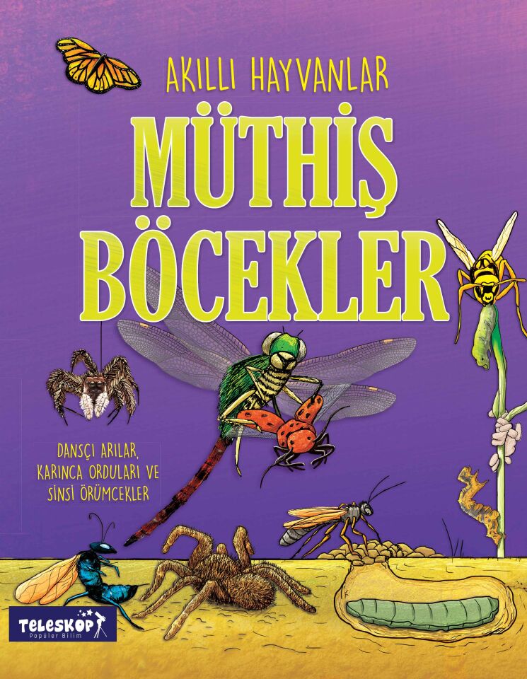 Teleskop Akıllı Hayvanlar  Müthiş Böcekler