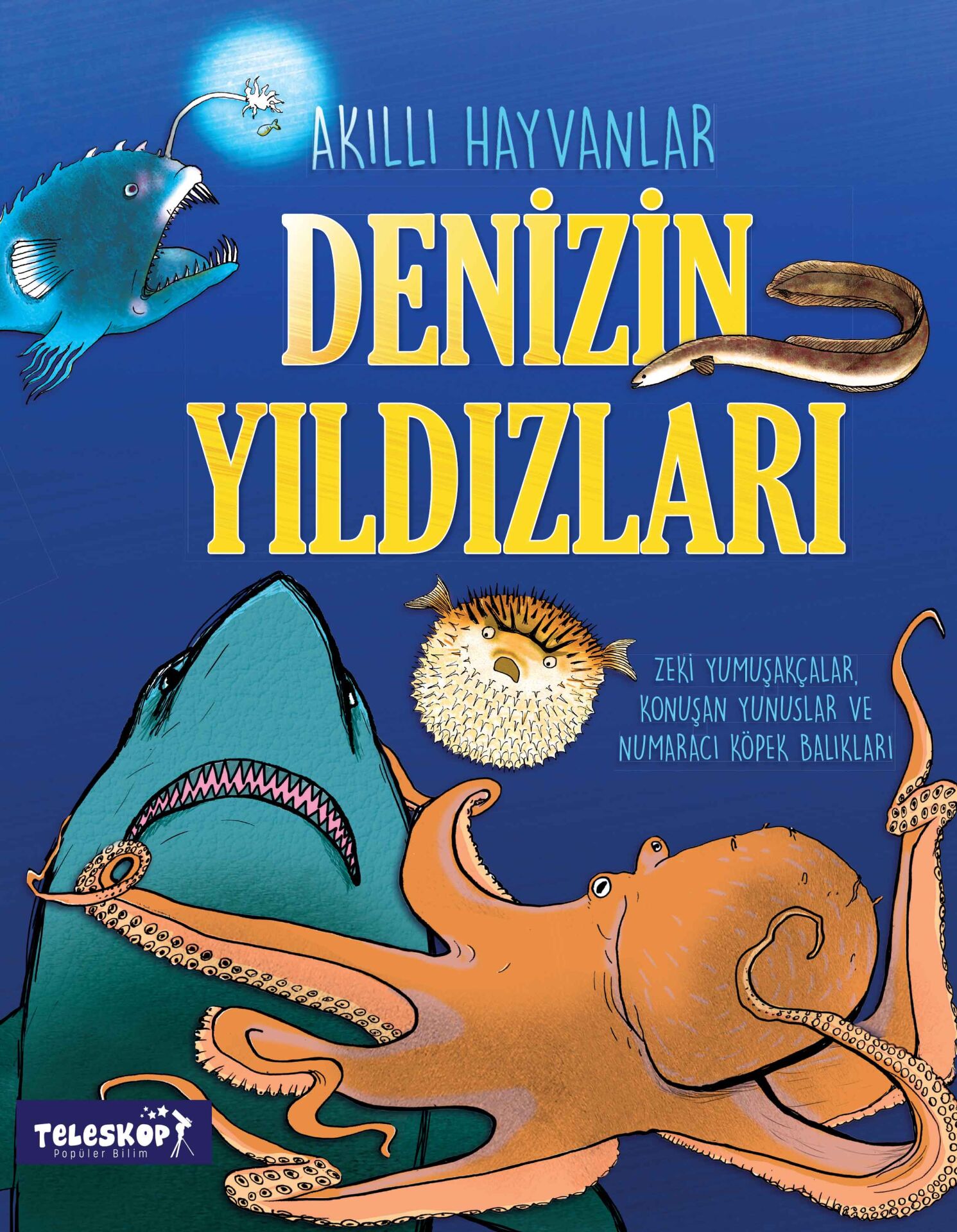 Teleskop Akıllı Hayvanlar  Denizin Yıldızları