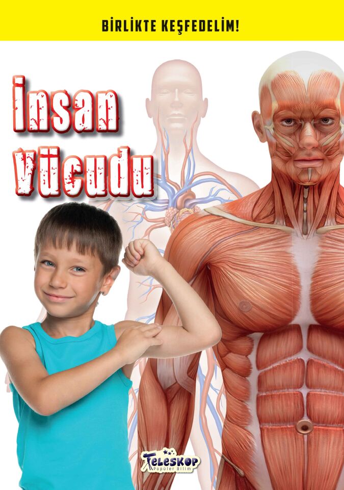 Teleskop Birlikte Keşfedelim İnsan Vücudu