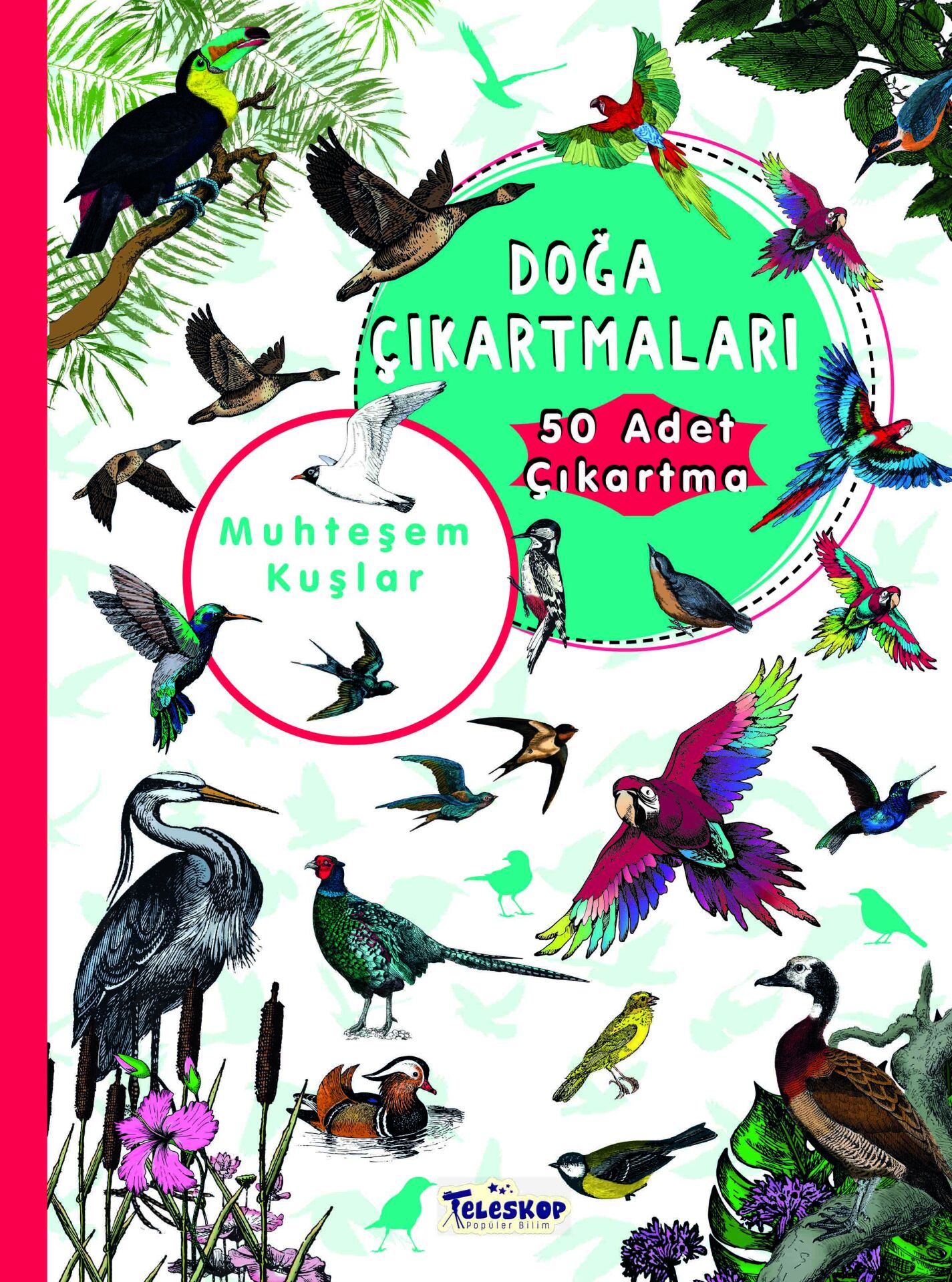 Teleskop Benim Doğa Çıkartmalarım Muhteşem Kuşlar