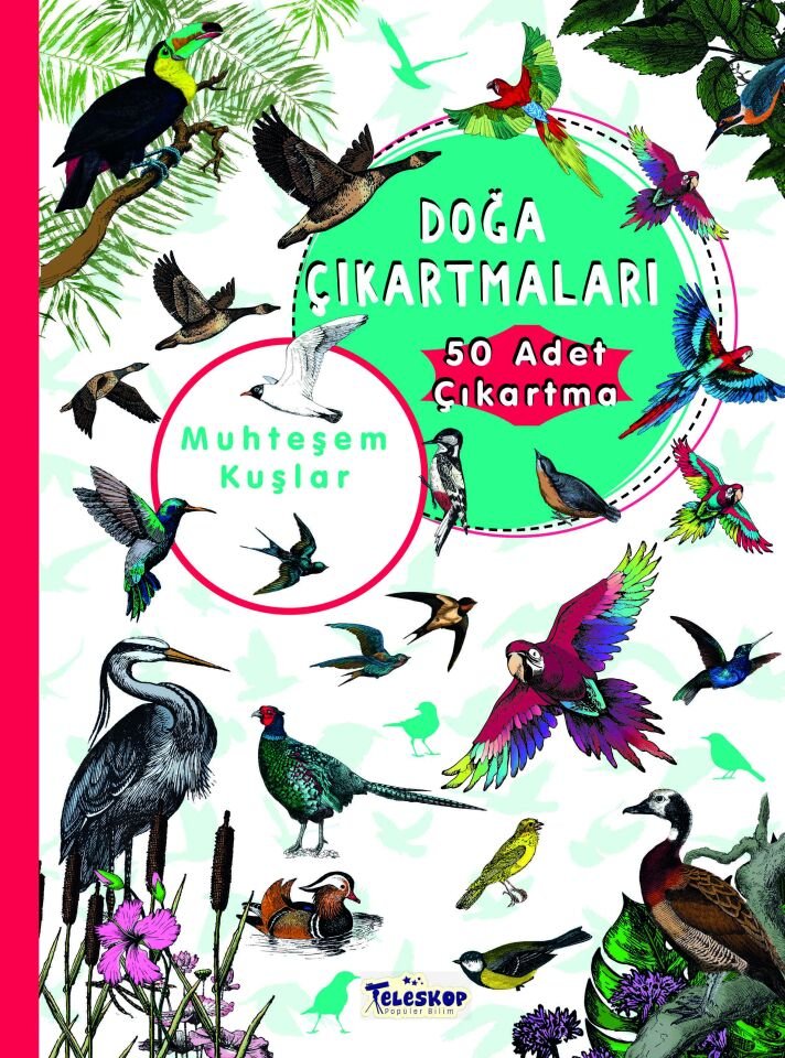 Teleskop Benim Doğa Çıkartmalarım Muhteşem Kuşlar
