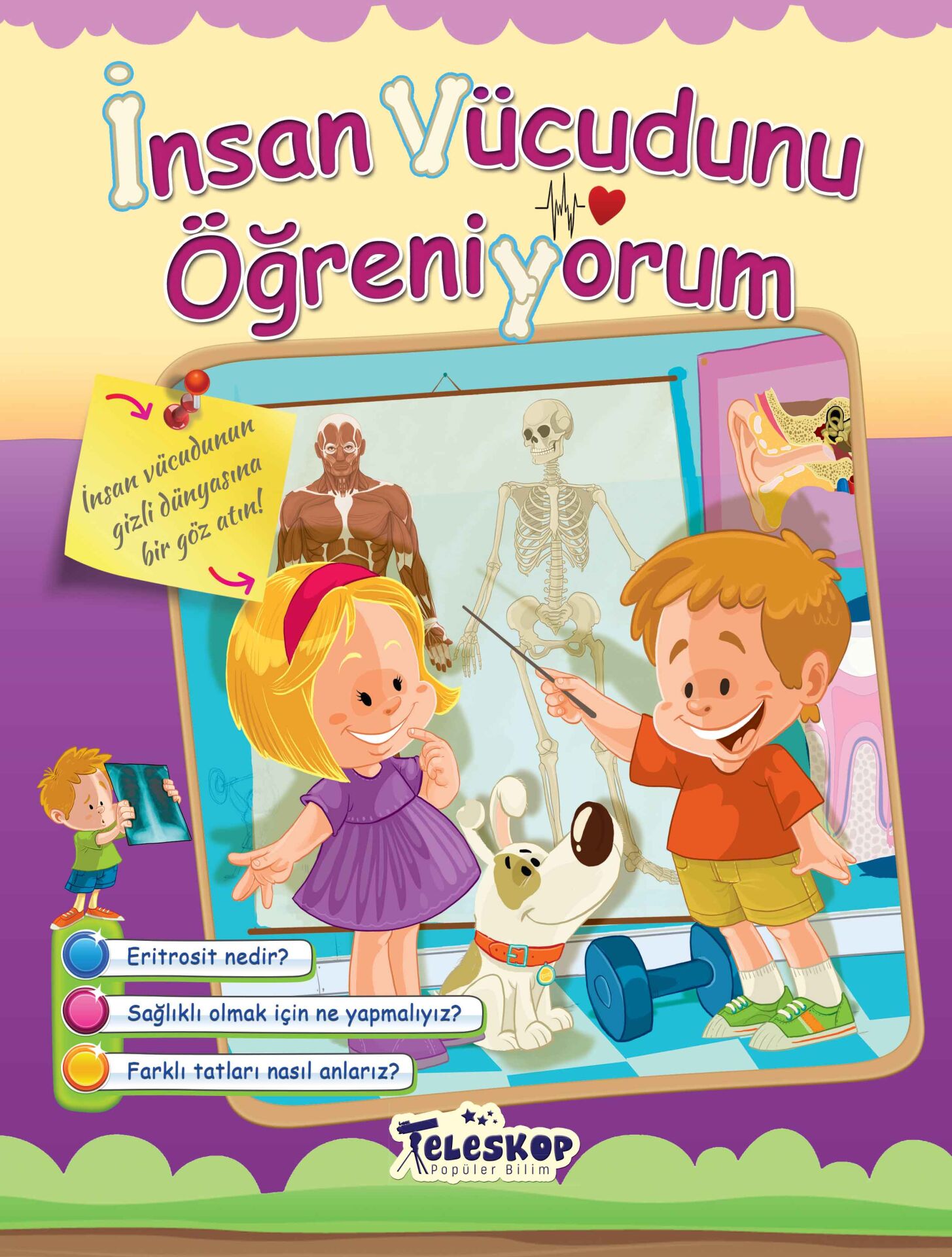 Teleskop İnsan Vücudunu Öğreniyorum  Öğreniyorum Serisi