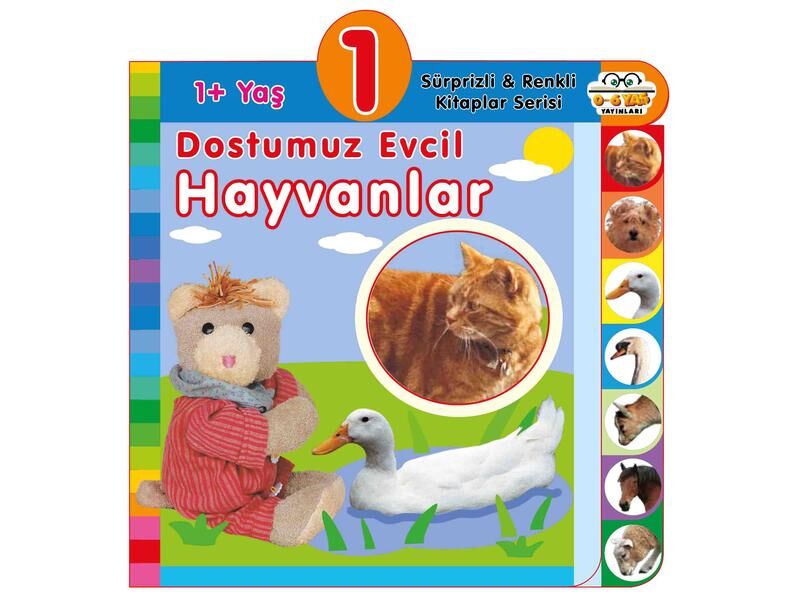 0-6 Yaş Yayınları Süprizli Renkli Kitaplar Dostumuz Evcil Hayvanlar 1+Yaş