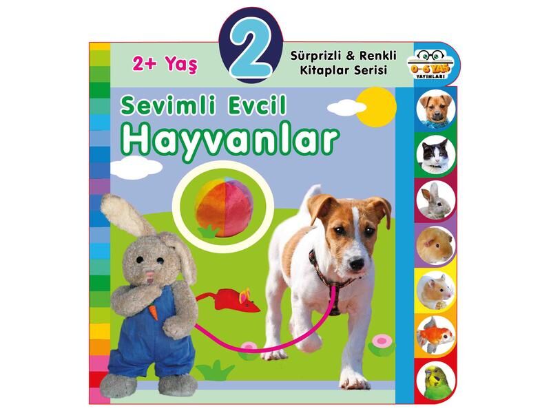 0-6 Yaş Yayınları Süprizli Renkli Kitaplar Sevimli Evcil Hayvanlar 2+Yaş