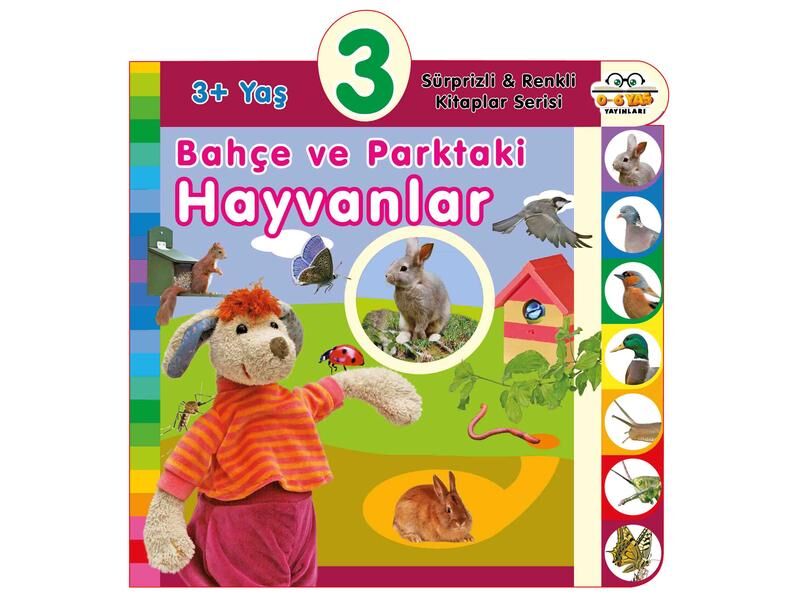 0-6 Yaş Yayınları Süprizli Renkli Kitaplar Bahçe Ve Parktaki Hayvanlar 3+Yaş