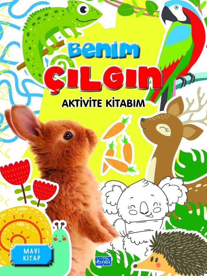 Parıltı Yayıncılık Benim Çılgın Aktivite Kitabım-Mavi Kitap