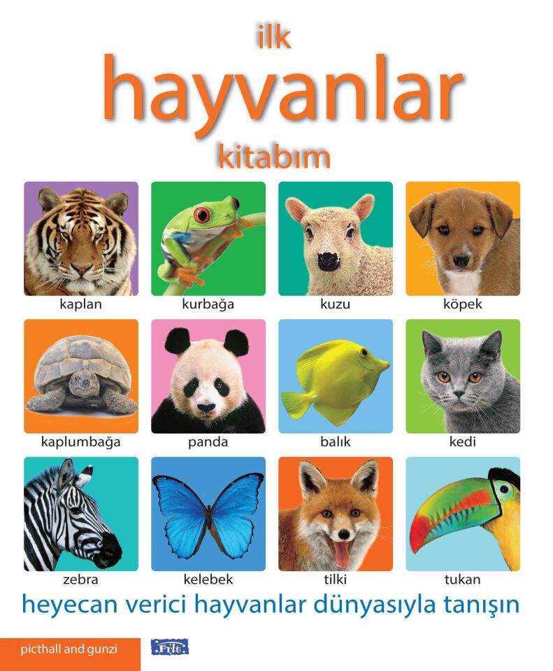 Parıltı Yayıncılık  İlk Hayvanlar Kitabım