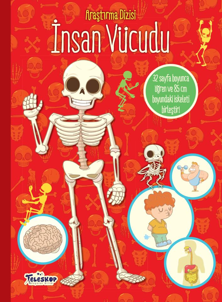 Teleskop Araştırma Dizisi  İnsan Vücudu