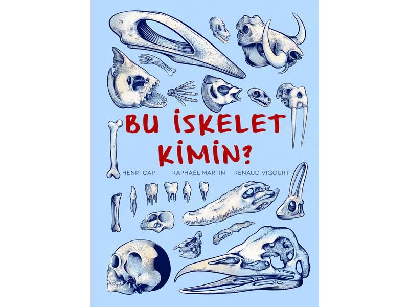 Teleskop Bu İskelet Kimin