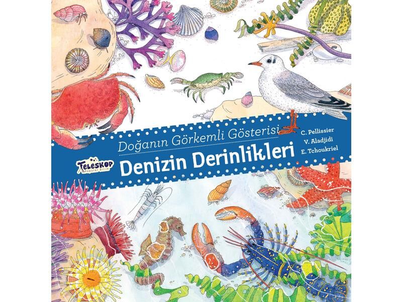 Teleskop Doğanın Görkemli Gösterisi Denizin Derinlikleri