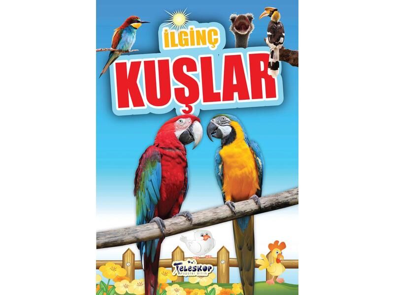 Teleskop İlginç Bilgiler Serisi İlginç Kuşlar