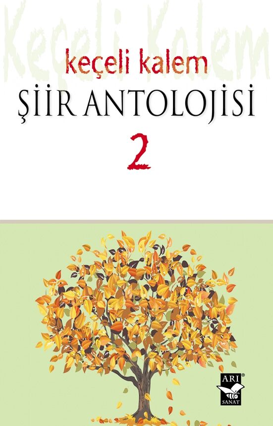 Keçeli Kalem Şiir Antolojisi - 2 / Elif Yıldırım Aka