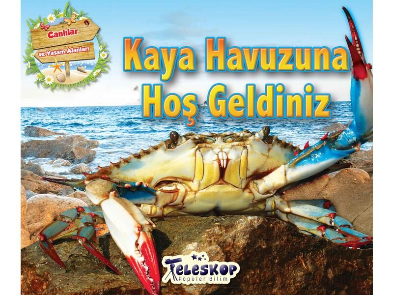 Teleskop Popüler Bilim Kaya Havuzuna Hoş Geldiniz
