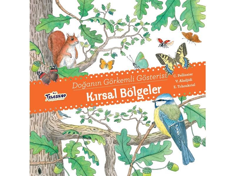 Teleskop Doğanın Görkemli Gösterisi Kırsal Bölgeler