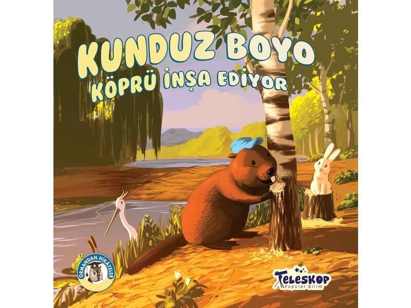 Teleskop Ormandan Hikayeler Kunduz Boyo Köprü İnşa Ediyor