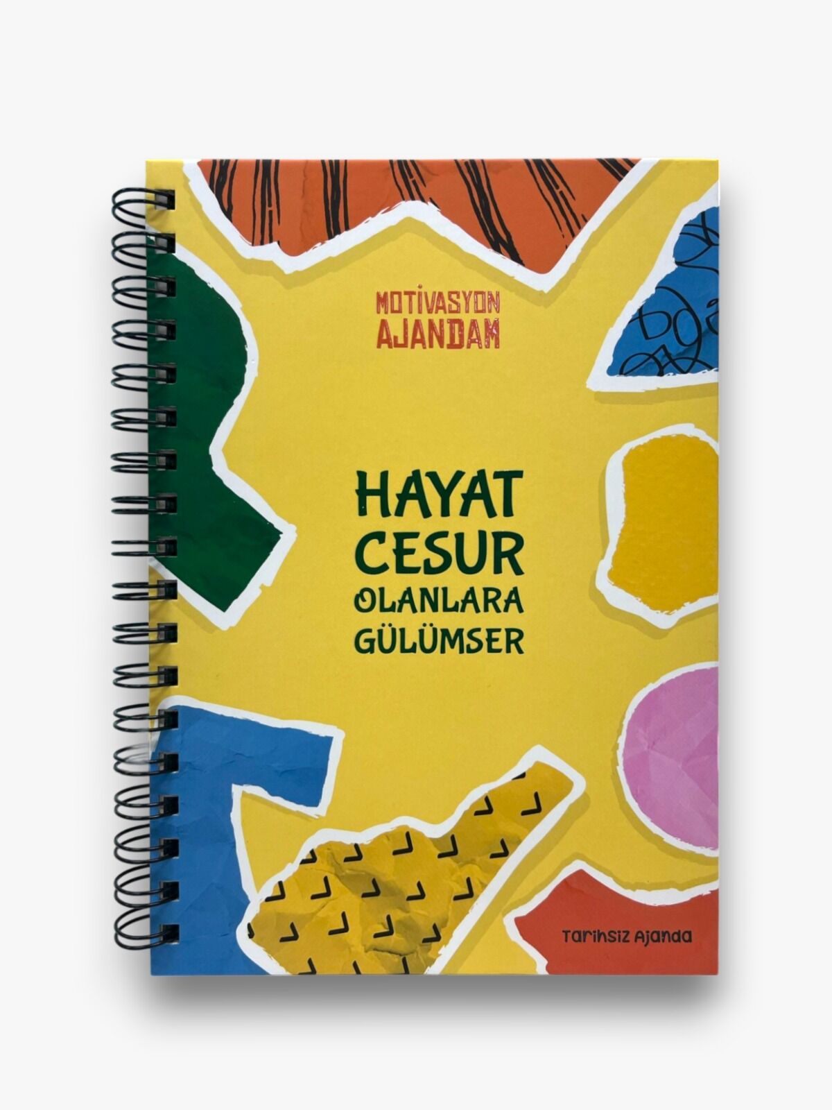 Geleceğin Yıldızları Motivasyon Ajandam Hayat Cesur Olanlara Gülümser Kod 01