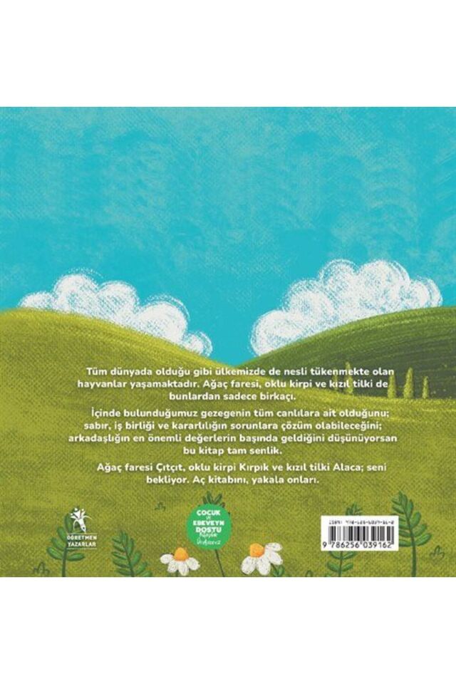 Sanal Çocuk / Banu Abbasoğlu