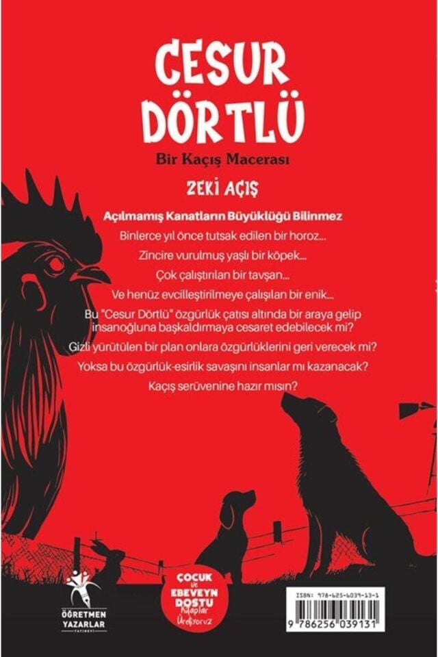 Yıldız Tozu / Gizemli Defter (8 YAŞ)