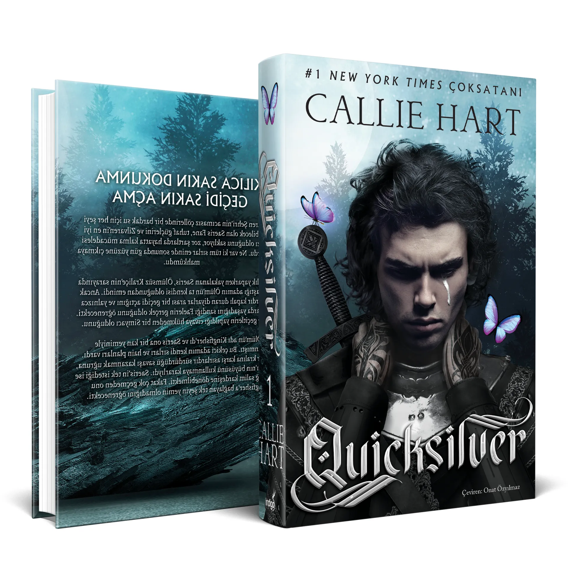 İndigo Kitap Quicksilver - Ciltli