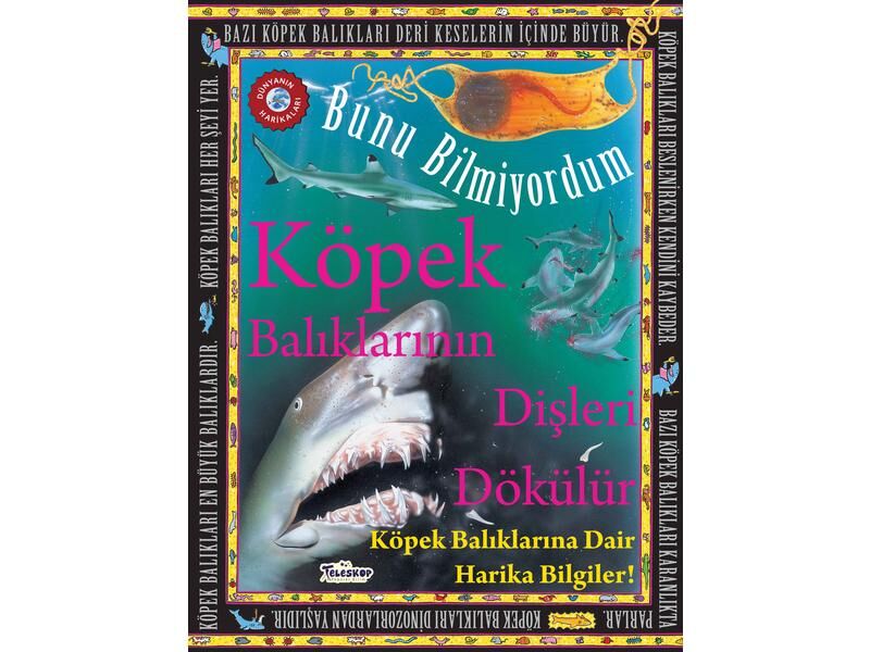 Teleskop Bunu Bilmiyordum Köpek Balıklarının Dişleri Dökülür