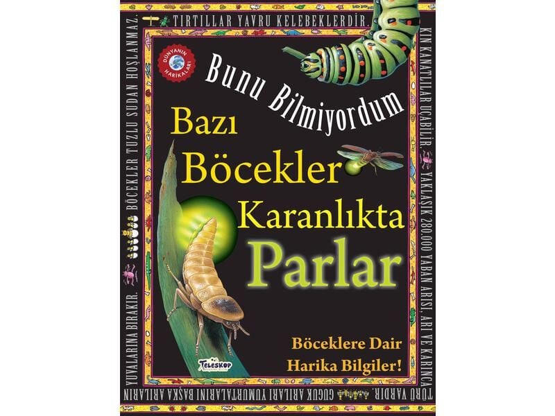 Teleskop Bunu Bilmiyordum Bazı Böcekler Karanlıkta Parlar