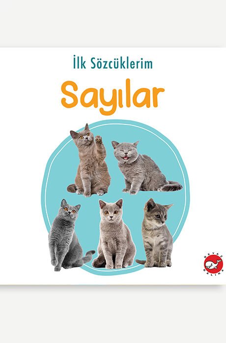 İlk sözcüklerim - Sayılar