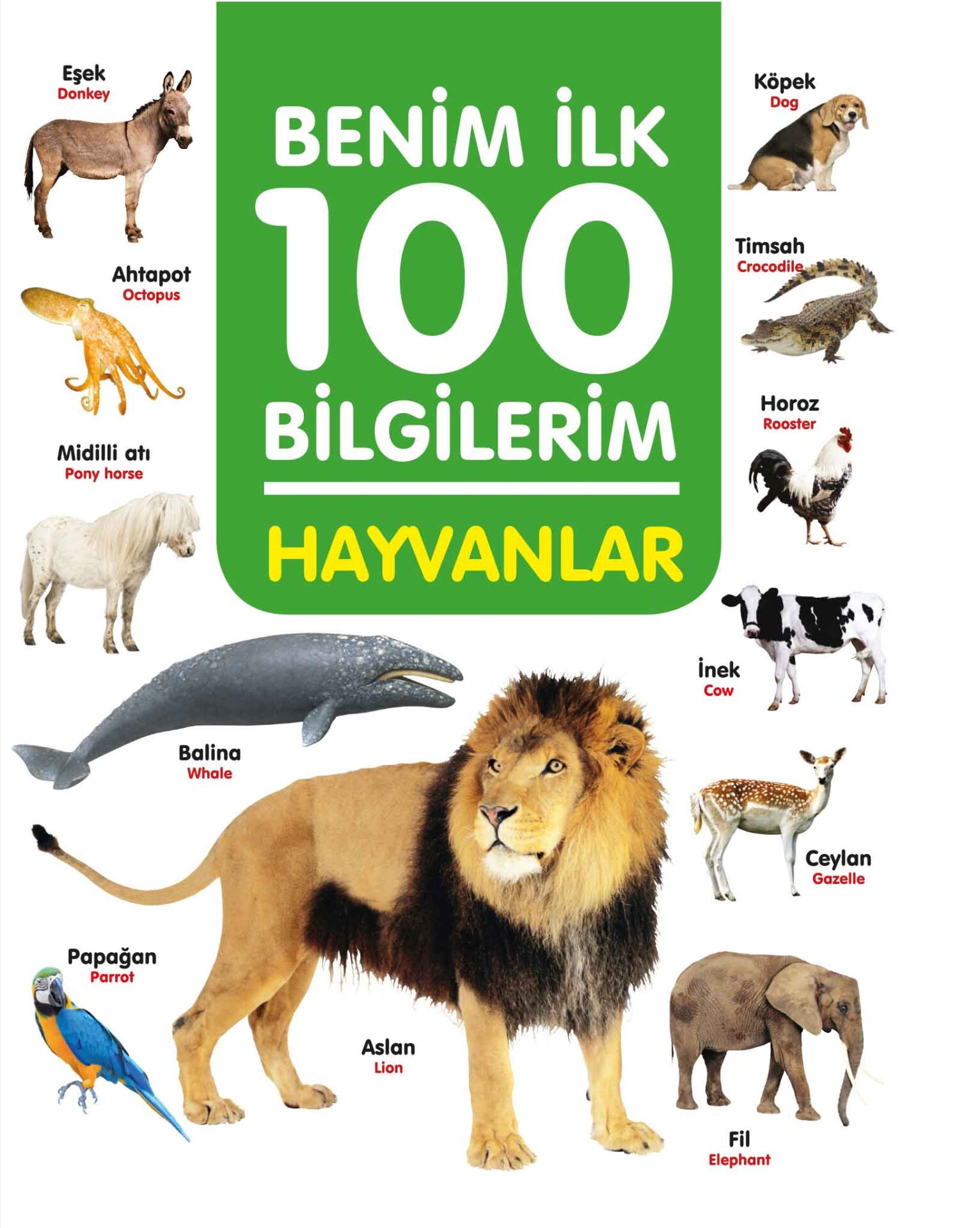 0-6 Yaş Yayınları İlk 100 Bilgilerim Hayvanlar