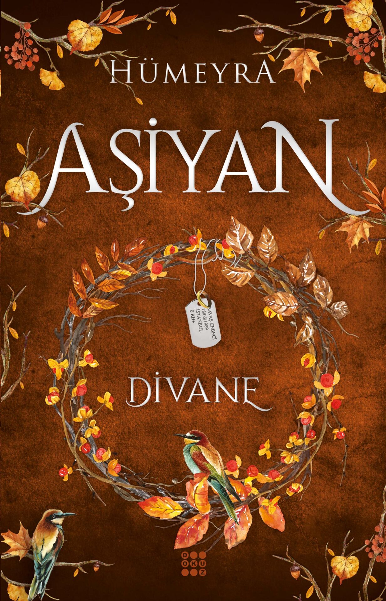 Dokuz Yayınları Aşiyan 2 Divane - Ciltli